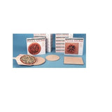 Old Stone Oven Round Pizza Stone, 16-Inch