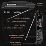 Digital Meat / Candy Thermometer