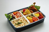 Compartmental Bento Box, Japanese Modern/Traditional with Chopsticks