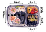 Compartment Portion Bento Box Food Container with Ice pack
