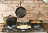 Lodge P14P3 Seasoned Cast Iron Baking and Pizza Pan, 14 Inch