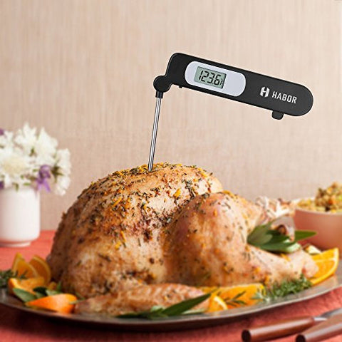 Instant Read Digital Meat Thermometer for Food, Bread Baking, Water and  Liquid.